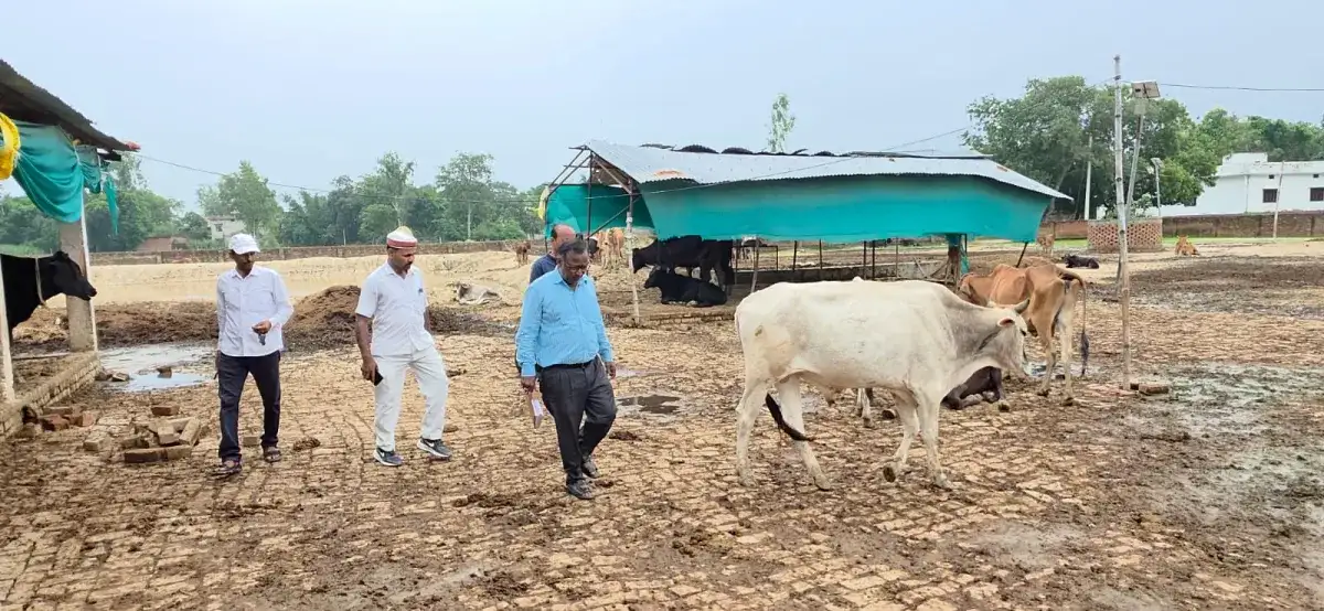 Breaking: Naib Tehsildar, furious over the dirt in Pedra Cowshala, reprimanded the caretaker.