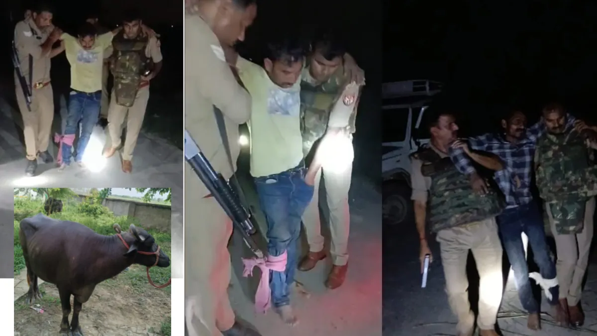 See: Big success of Azamgarh Police: Inter-district cattle theft gang busted in two encounters, four arre...